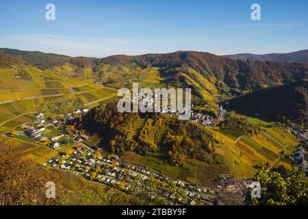 Vineyards in autumn, Mayschoß with parish church, Ahrtal red wine growing region, Pinot Noir and Portuguese grape red wine is grown here, Eifel, Rhine Stock Photo