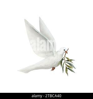 Dove of Peace with olive tree twig watercolor illustration. White flying pigeon bird for pacific symbols designs Stock Photo