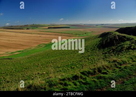 View from the Wansdyke ancient earthwork on the Wiltshire Downs, looking towards  Cherhill Down. Stock Photo