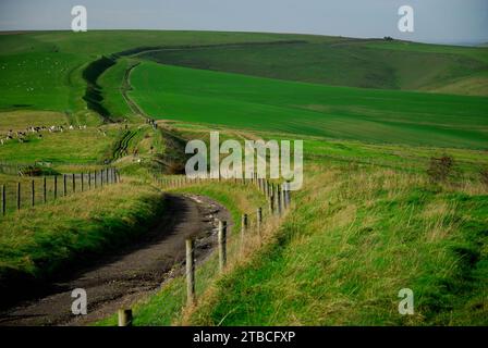 The Wansdyke ancient earthwork on the Wiltshire Downs, looking towards Tan Hill. Stock Photo