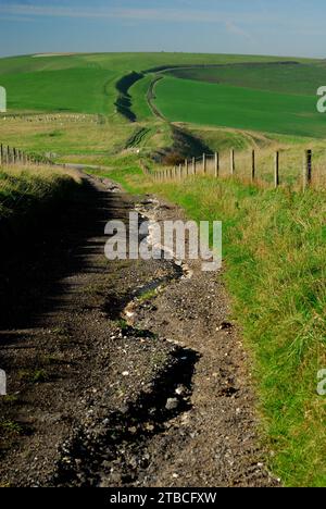 The Wansdyke ancient earthwork on the Wiltshire Downs, looking towards Tan Hill. Stock Photo