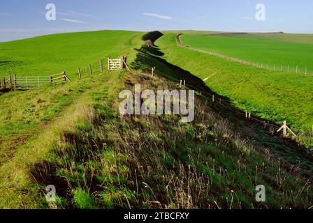 The Wansdyke ancient earthwork on the Wiltshire Downs, looking towards Tan Hill. Stock Photo