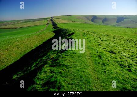 The Wansdyke ancient earthwork on the Wiltshire Downs, looking towards Milk Hill. Stock Photo