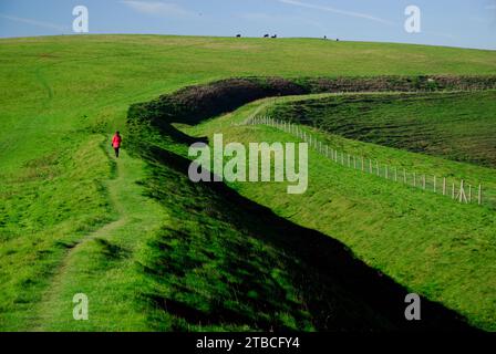 The Wansdyke ancient earthwork on the Wiltshire Downs, looking towards Tan Hill. Stock Photo