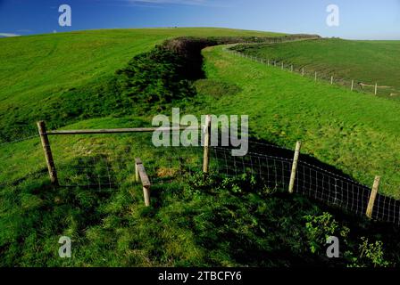 The Wansdyke ancient earthwork on the Wiltshire Downs, looking towards Tan Hill. Stock Photo