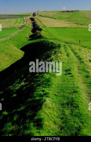 The Wansdyke ancient earthwork on the Wiltshire Downs, looking towards Milk Hill. Stock Photo