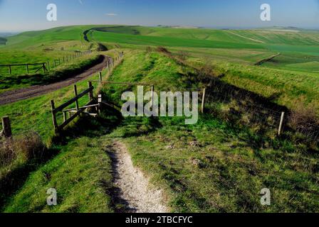 The Wansdyke ancient earthwork on the Wiltshire Downs, looking towards Tan Hill. Stock Photo