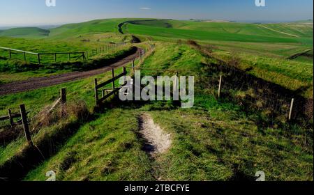 The Wansdyke ancient earthwork on the Wiltshire Downs, looking towards Tan Hill. Stock Photo