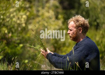 soil scientist agronomist farmer looking at soil samples and grass in a field in spring. looking at growth of plants and soil health in spring Stock Photo