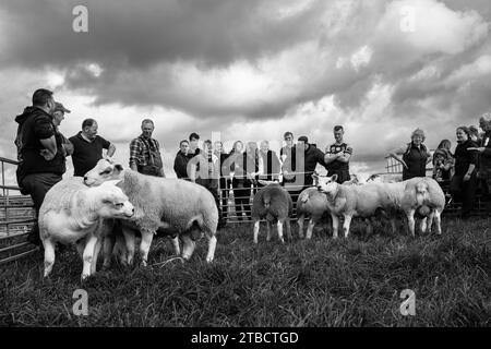Images From The Carnwath And Biggar Agricultural Society Shows Summer 2023 Stock Photo