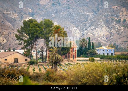 Landscape of the Ojos reservoir with stately houses and pine trees, in the Ricote Valley, Region of Murcia, Spain Stock Photo