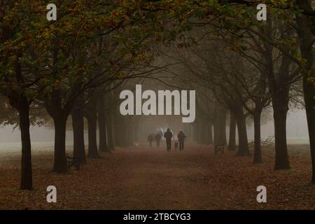 Autumn foggy pathway surrounded by trees at Wollaton Park Stock Photo