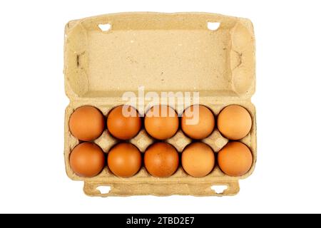 Ten eggs in packaging paper mould box isolated on white background. Top view. Stock Photo