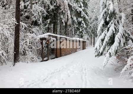 Stacked pile of firewood shelter in a snow covered forest. December early snow, footpath, no people. Stock Photo