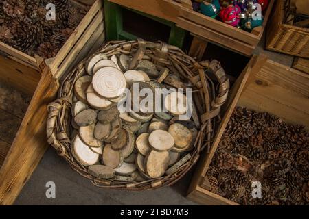 Wood Logs cut in round thin pieces on a white background Stock Photo