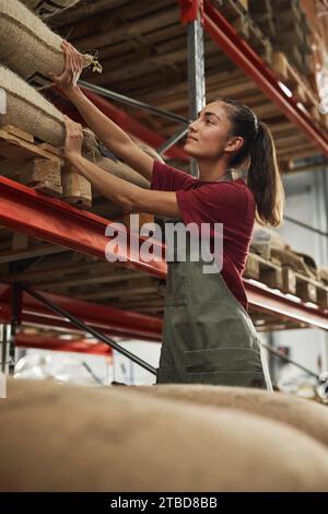 Vertical side view portrait of smiling female worker checking burlap coffee bags on shelf in roastery Stock Photo