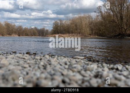 River Mura (Mur) in early spring, Slovenia, Europe Stock Photo