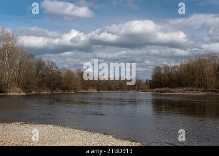 River Mura (Mur) in early spring, Slovenia, Europe Stock Photo