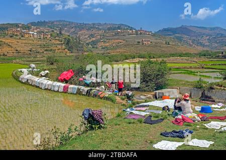 Laundry drying on dike of terraced rice field in Betsileo rural village in the Ambositra District, Amoron'i Mania Region, Central Madagascar, Africa Stock Photo