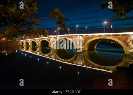 vues de nuit du quai de la daurade très animé, du pont-neuf, de l'hotel dieu saint-jacques par une belle et chaude soirée printanière Stock Photo