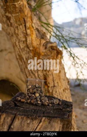 An overflowing cup full of fired bullets that were found in the desert Stock Photo