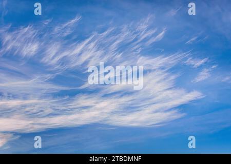 High-altitude Cirrus clouds - sud-Touraine, central France. Stock Photo