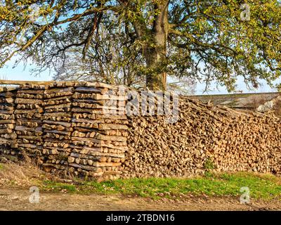 Large stack of Oak branches and split logs for domestic fuel - sud-Touraine, central France. Stock Photo