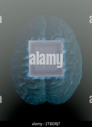 Human brain anatomical model with CPU processor microchip. Stock Photo
