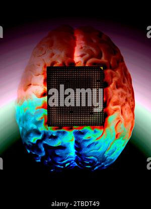 Human brain anatomical model with CPU processor microchip. Stock Photo