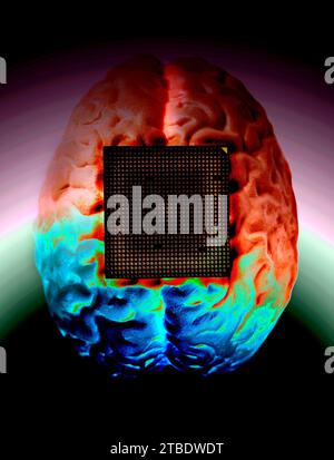 Human brain anatomical model with CPU processor microchip. Stock Photo