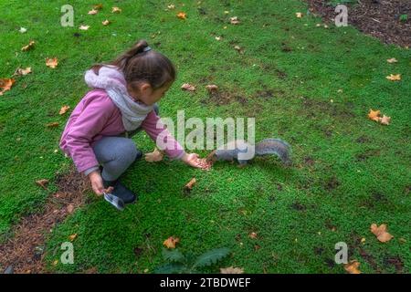Young girl feeding from hand Grey Squirrel, Latin name Sciurus Carolinensis, with some peanuts in the park, Botanic Garden, Dublin, Ireland Stock Photo
