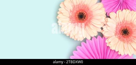 Banner with gerbera flowers and tissue paper fans on a blue background. Festive composition. Stock Photo