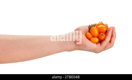 orange plum cherry tomato in hand path isolated on white Stock Photo