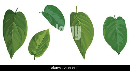 Set of green lilac leaves isolated on white background Stock Vector