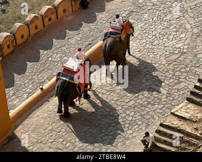 High angle view of two elephants at Jaigarh Fort, Jaipur, Rajasthan, India Stock Photo