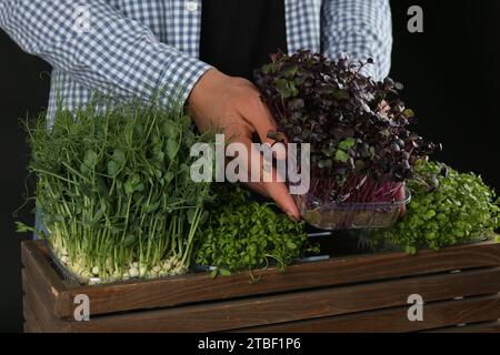 Man with wooden crate of different fresh microgreens on black background, closeup Stock Photo