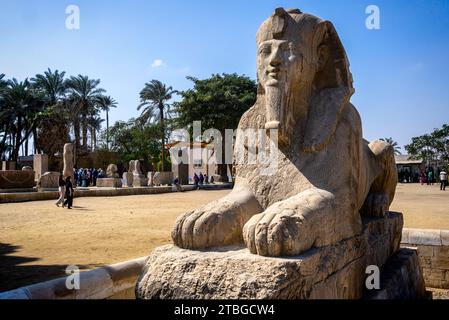 Sphinx of Memphis, open air museum of Memphis, Egypt Stock Photo
