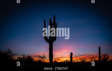 The silhouettes of a giant Saguaro Cactus and a female at a sunset in ...