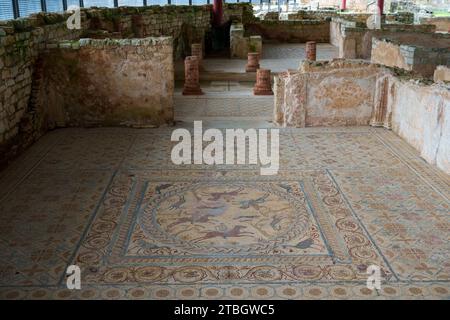 Roman mosaic floor at the ruins of Conimbriga, Portugal, Europe Stock Photo