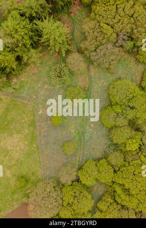 aerial view of trees in leaf taken with a drone Stock Photo