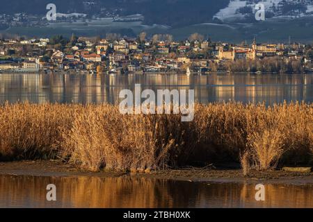 City and castle of Grandson at the foot of jura, Neuchâtel lake with reeds of the natural reserve of Champ-Pittet in the Grande Cariçaie, Switzerland Stock Photo