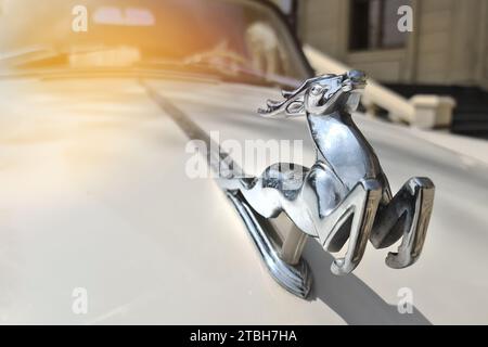 Mascot figurine Deer on the hood of a GAZ Volga car close-up Stock Photo