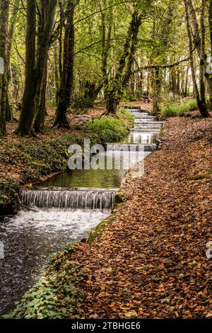 Tehidy stream flowing over a series of cascades in Tehidy Woods Country Park in Cornwall in the UK. Stock Photo