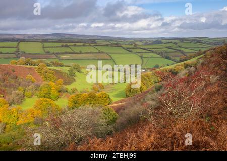 Exmoor's rolling countryside from The Punchbowl on Winsford Hill, Somerset, England.  Autumn (October) 2023. Stock Photo