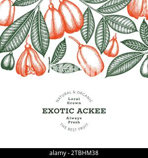 Hand drawn sketch style ackee banner. Organic fresh food vector illustration. Retro exotic fruit design template. Engraved style botanical background. Stock Photo
