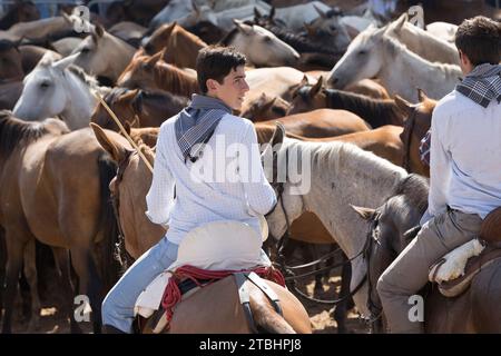 saca de las yeguas festival El Rocio Huelva province Spain Stock Photo