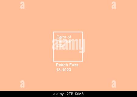 Color of the year 2024 peach fuzz. Trendy colors concept, mockup with copy space Stock Photo