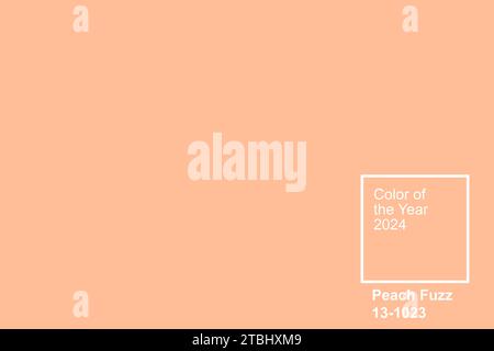 Color of the year 2024 peach fuzz. Trendy colors concept, mockup with copy space Stock Photo