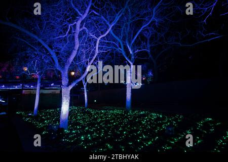 enlightened nature and insects at Christmas time. Stock Photo