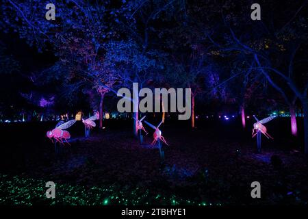 enlightened nature and insects at Christmas time. Stock Photo